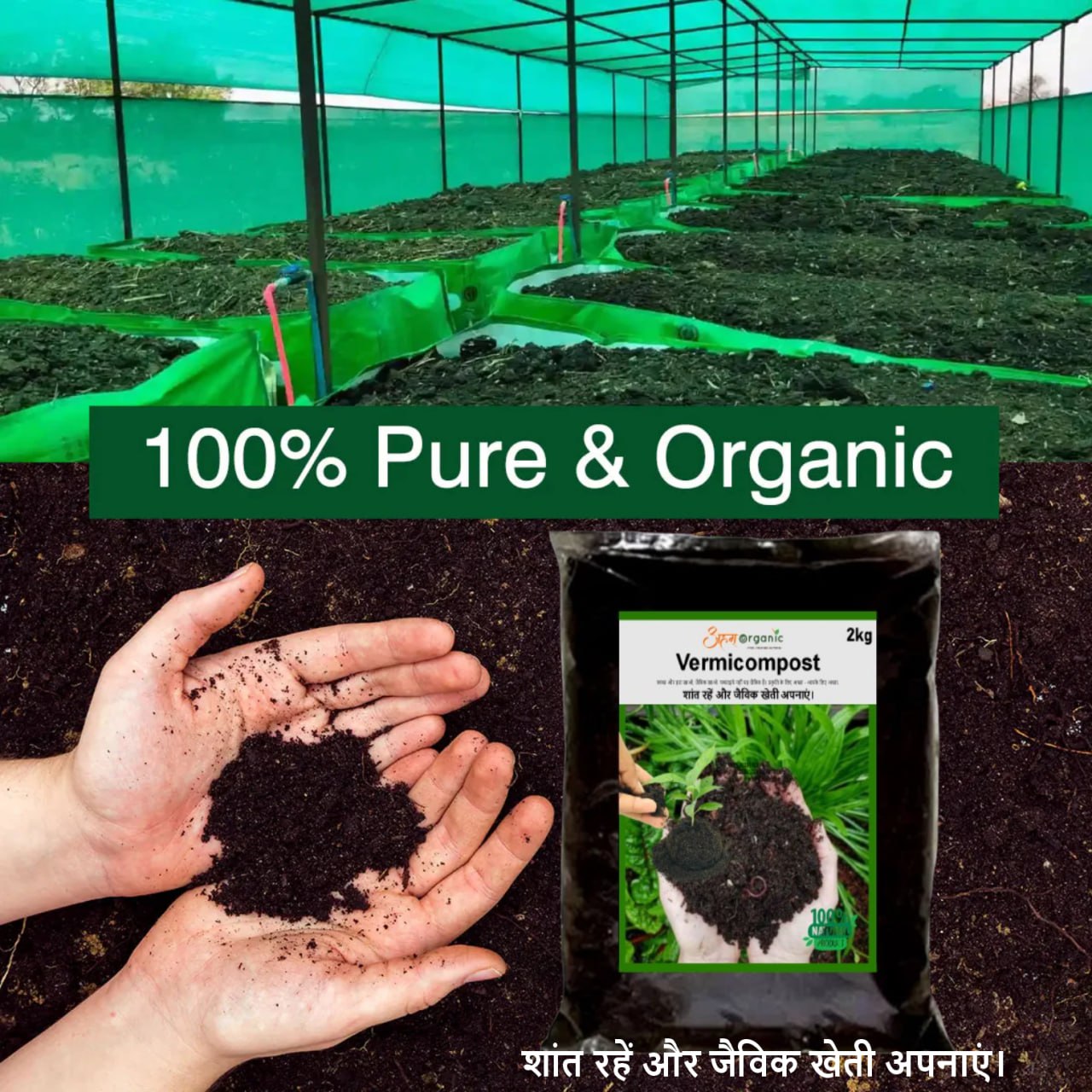 Vermicompost