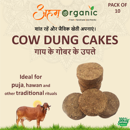 Cow Dung Cakes
