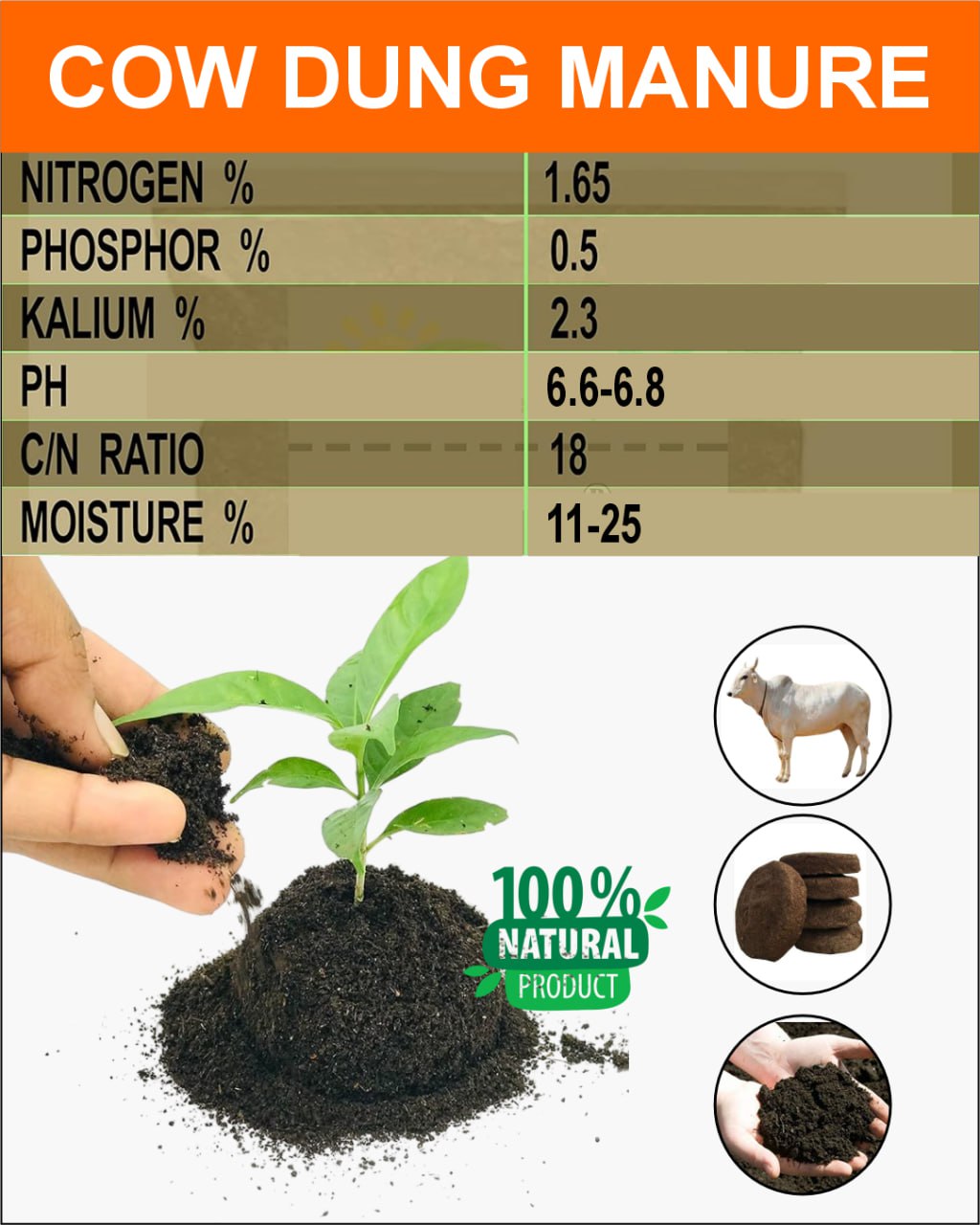 Cow Dunk Manure