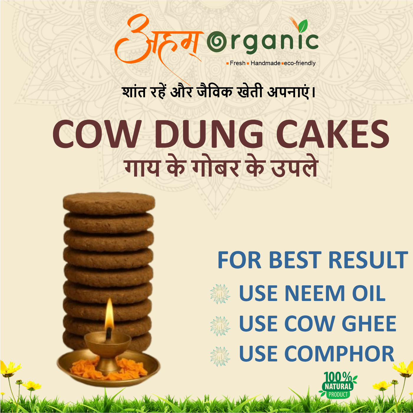 Cow Dung Cakes