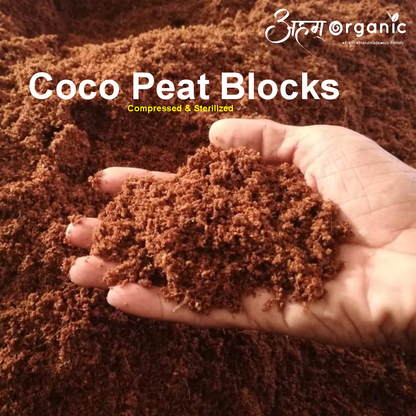 Coco Peat block