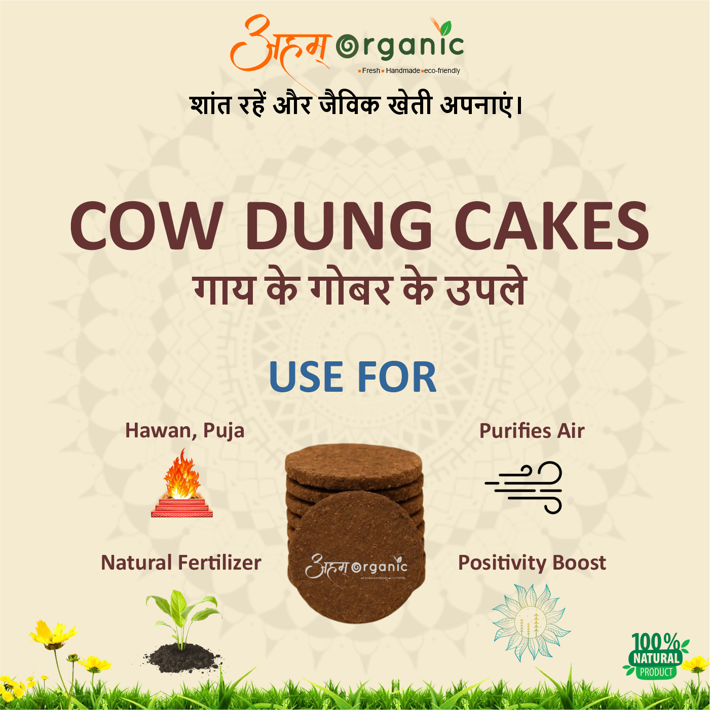 Cow Dung Cakes