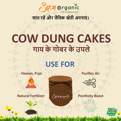 Cow Dung Cakes