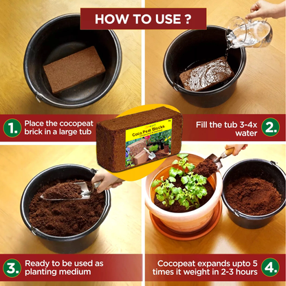 Coco Peat block